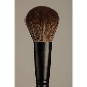Pinceaux Les Essentiels