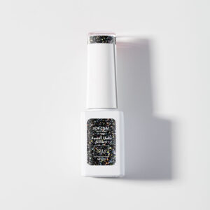 Le Top Coat - Small Holo Glitter