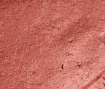 Rouges à Lèvres Mats Hélène